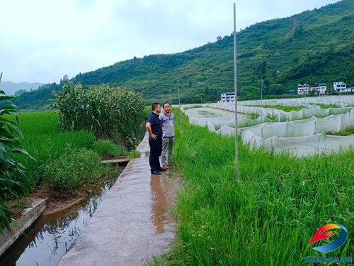 聚力破解歷史難題，夯實(shí)農(nóng)業(yè)發(fā)展根基——縣農(nóng)業(yè)農(nóng)村委扎實(shí)推進(jìn)農(nóng)業(yè)基礎(chǔ)設(shè)施建設(shè)