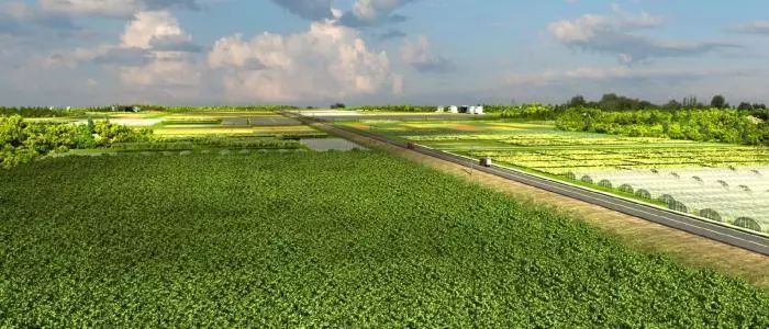 永清晉升國家現代農業示范區 以基礎設施建設驅動增收增綠先行