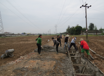 按下“快進(jìn)鍵”！東坡區(qū)高標(biāo)準(zhǔn)農(nóng)田建設(shè)正酣，筑牢現(xiàn)代農(nóng)業(yè)發(fā)展根基